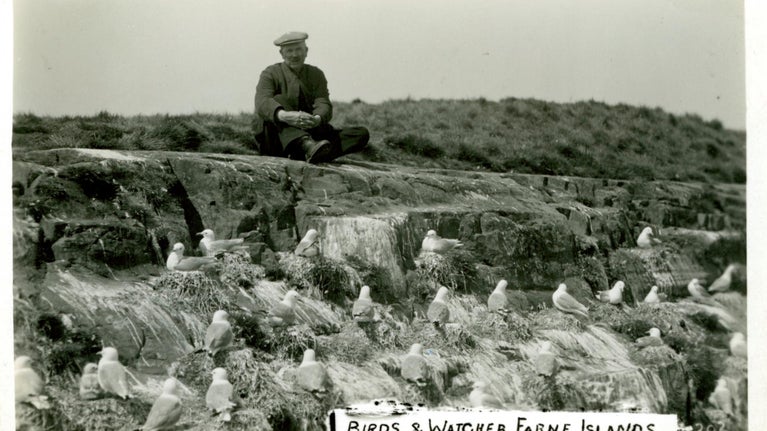 Archive image of watcher Alec Cormack looking at the birds on the Farne Islands, Northumberland, 1936.